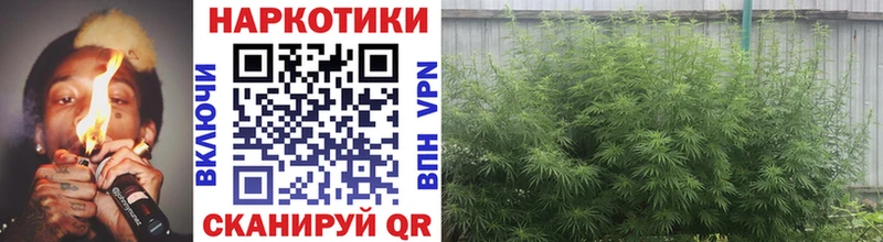 Продажа наркотиков Арамиль Марихуана  Меф мяу мяу  Амфетамин  Галлюциногенные грибы  КОКАИН  LSD-25  ГАШ 