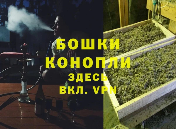 винт Алексин
