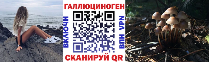 Галлюциногенные грибы Cubensis продажа наркотиков Арамиль